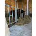 Barrière de contention avec porte avec barres verticales, 3 x 1,60 m avec un cheval