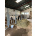 Barrière de contention avec porte avec barres verticales, 3 x 1,60 m avec des chevaux